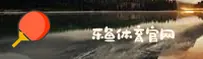 使用指南与常见问题